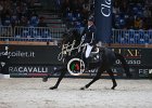 Twomey_Royale du Rouet_Verona2014_SS7_6873.jpg : FIERA CAVALLI 2014, Royale du Rouet, Twomey Billy, foto di Stefano Secchi ©